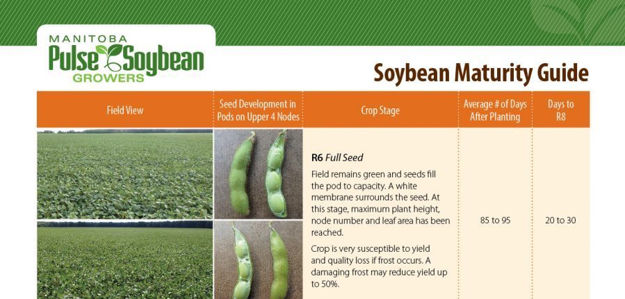 Soybean Maturity Guide