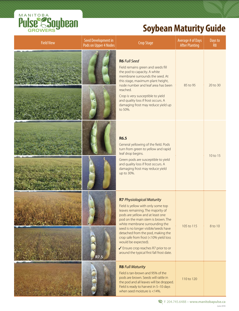 cover soybean maturity guide