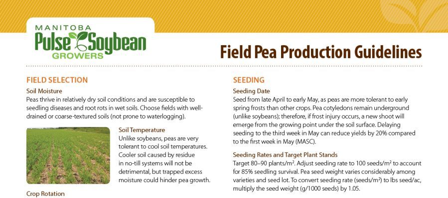 Field Pea Production Guidelines