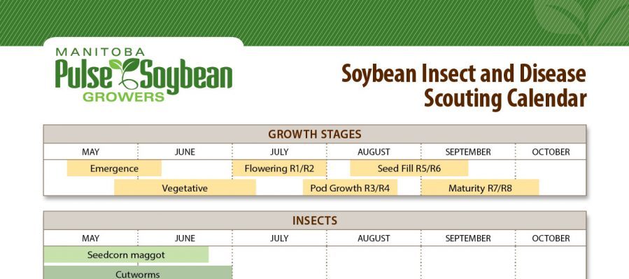 Soybean Insect and Disease Scouting Calendar