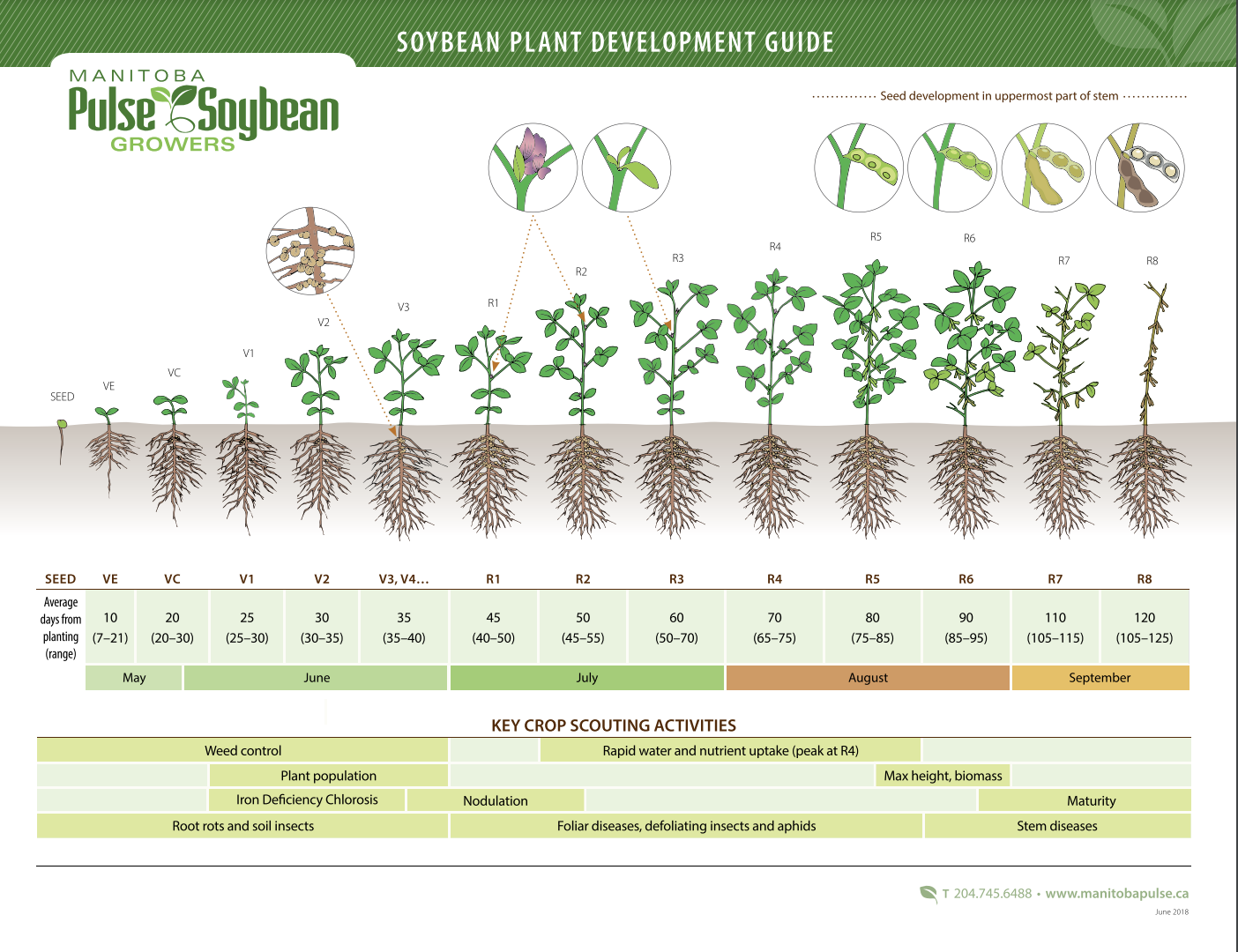 cover of soybean plant development guide