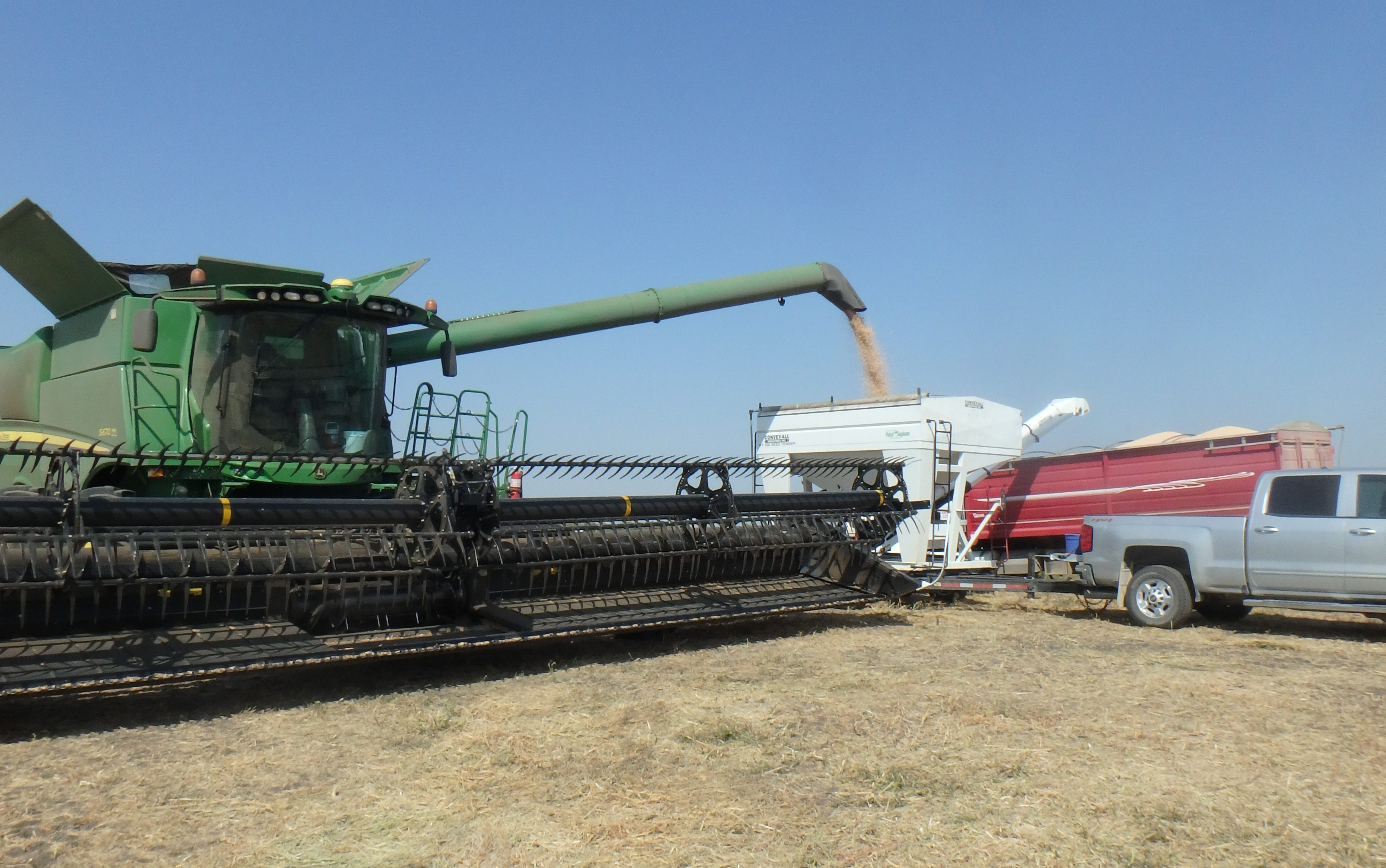 Enhancing Soybean Storage Starts with Harvest Moisture