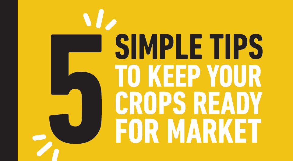 5 Simple Tips to Keep Your Crop Ready for Market
