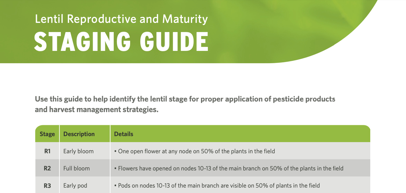 Lentil Reproductive and Maturity Staging Guide