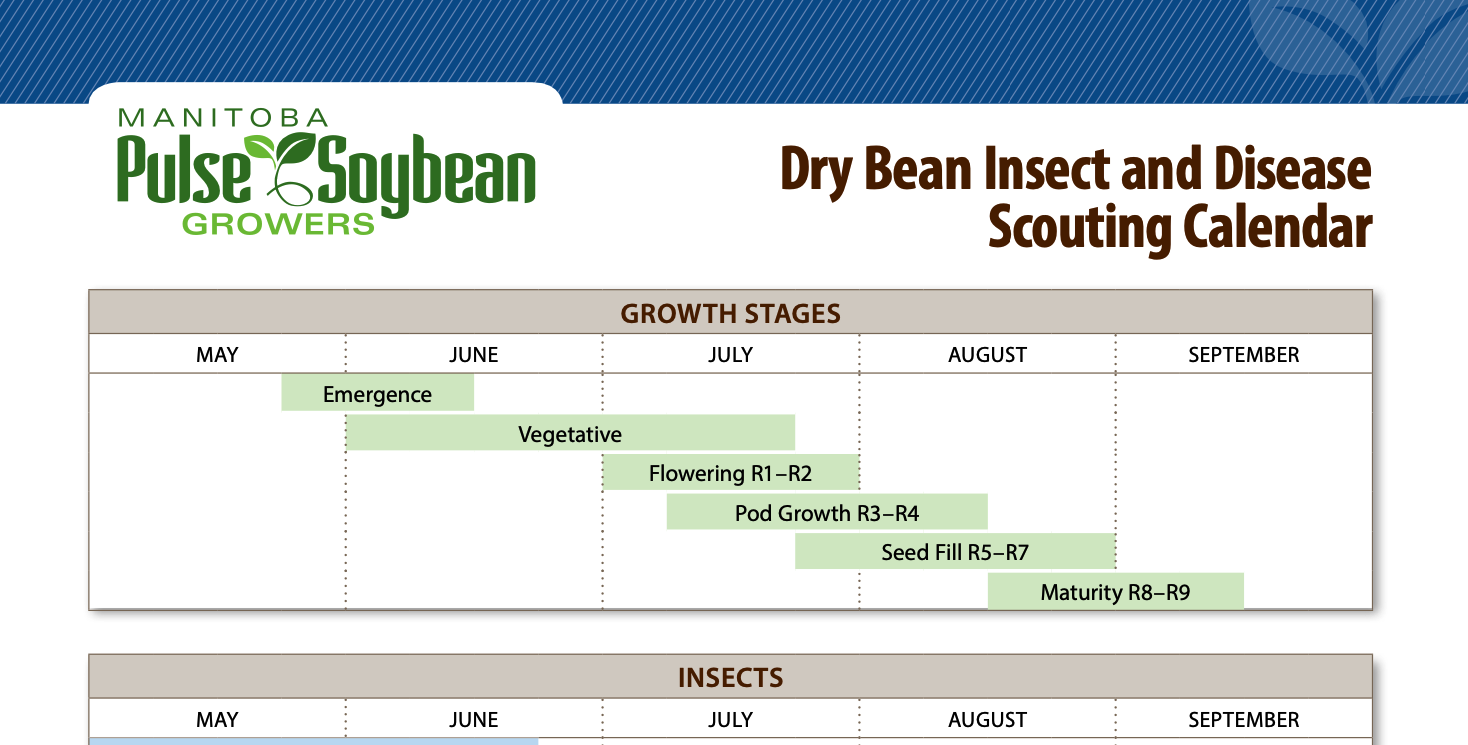 Dry Bean Insect and Disease Scouting Calendar