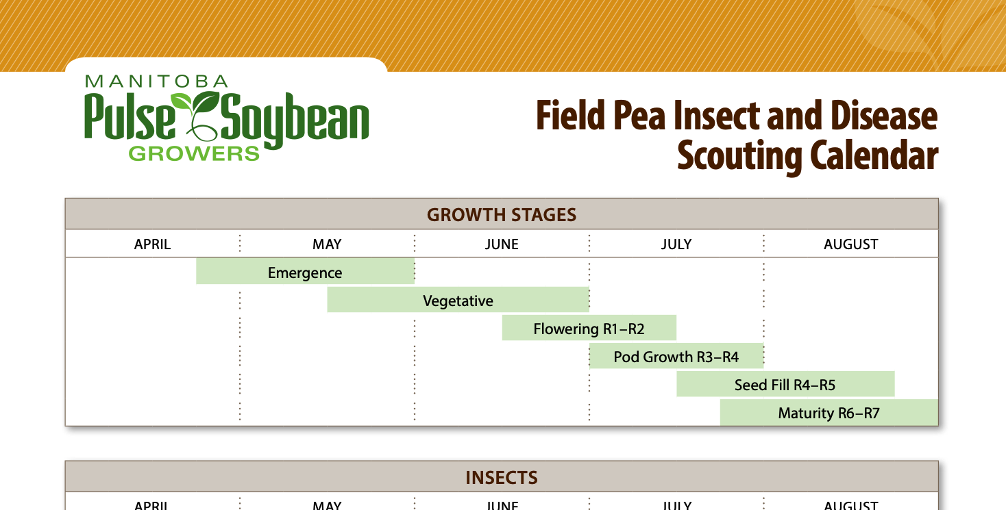 Field Pea Insect and Disease Scouting Calendar