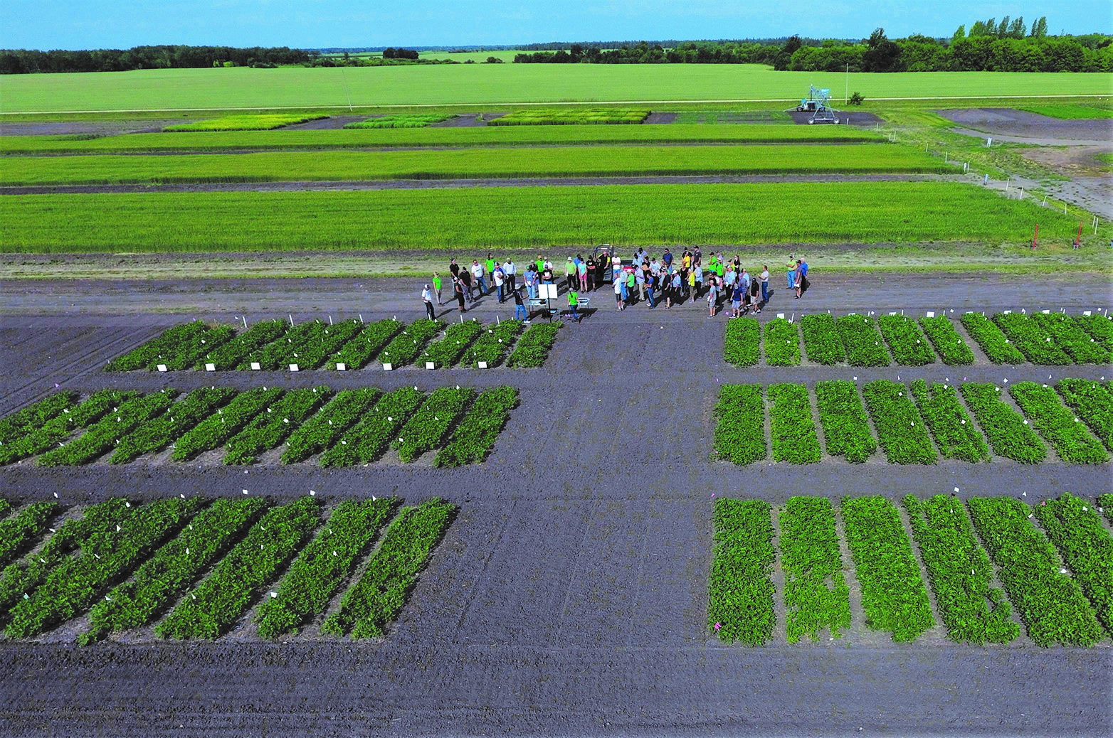Soybean and Pulse Agronomy Lab 2018 Annual Report
