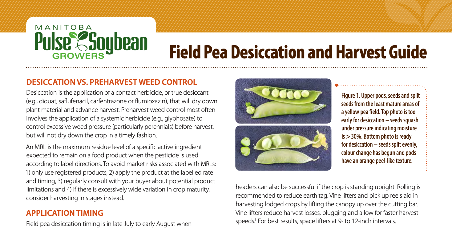 Field Pea Desiccation and Harvest Guide