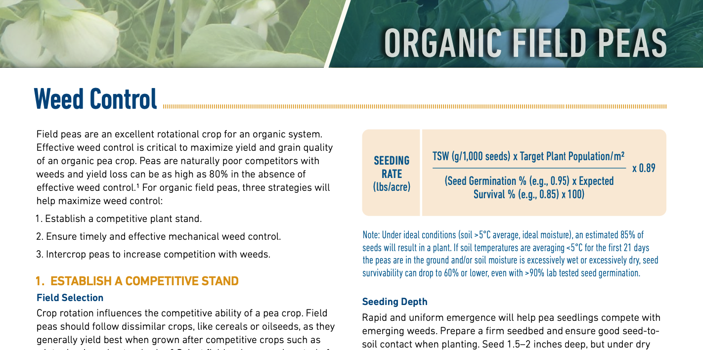 Organic Field Peas – Weed Control