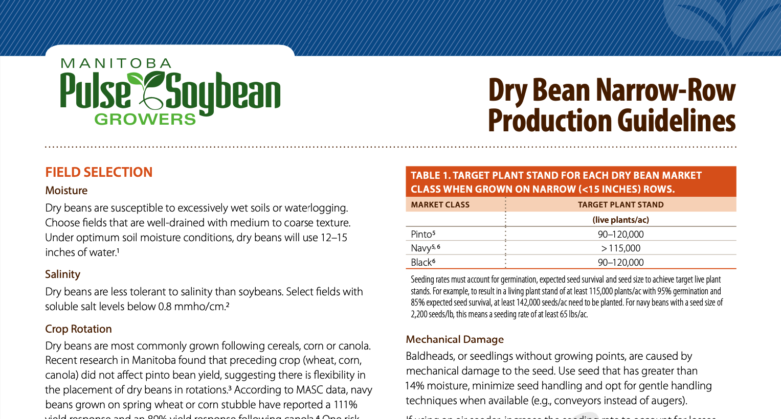 Dry Bean Narrow-Row Production Guidelines