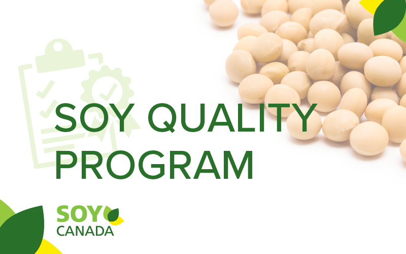 Header image for Soy Canada, with soy beans, the Soy Canada Logo and a clipboard behind the text the text Soy Quality Program.